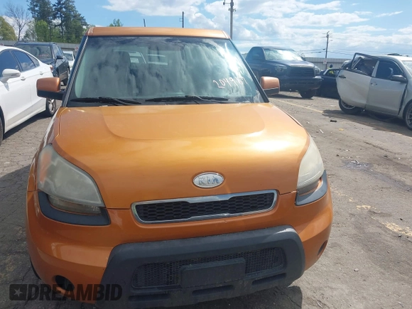 2011 Kia Soul + with VIN KNDJT2A25B7204987, listed as a IAAI auction lot 42011173 with Not Provided miles and . Bid and sale history available at DreamBid. Image 12.