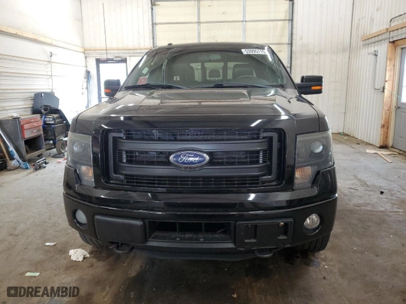 2014 Ford F-150 XL with VIN 1FTFW1ETXEFC51095, listed as a Copart auction lot 53995715 with 246,592 mi miles and Clean Title. Bid and sale history available at carsss.com. Image 5.