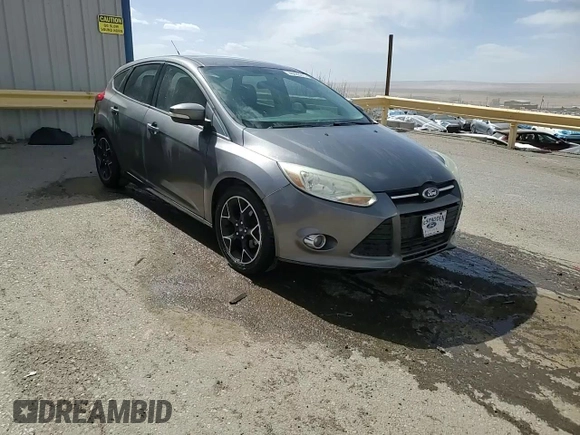 2014 Ford Focus SE with VIN 1FADP3K27EL123755, listed as a Copart auction lot 46422215 with 186,183 mi miles and Salvage Title. Bid and sale history available at carsss.com. Image 14.