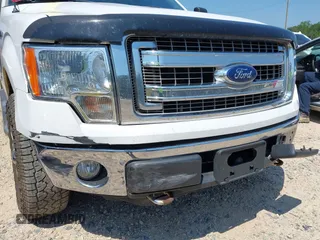 2013 Ford F-150 XL with VIN 1FTFW1EF1DFC03980, listed as a IAAI auction lot 42649384 with 189,917 mi miles and . Bid and sale history available at DreamBid. Image 6.