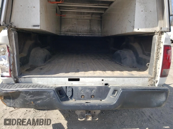 2017 Ram 1500 Tradesman with VIN 3C6JR7DT7HG668870, listed as a Copart auction lot 49481055 with 166,642 mi miles and Salvage title. Bid and sale history available at DreamBid. Image 10.