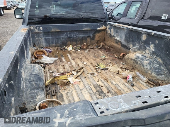 2019 Ford F-250 XL with VIN 1FT7W2BT3KEF53800, listed as a IAAI auction lot 42670822 with 180,316 mi miles and . Bid and sale history available at DreamBid. Image 18.