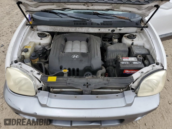 2002 Hyundai Santa Fe GLS with VIN KM8SC13D72U291088, listed as a Copart auction lot 49325285 with 218,046 mi miles and Salvage Title. Bid and sale history available at carsss.com. Image 13.