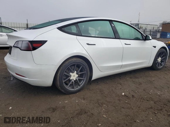 2021 Tesla Model 3 Standard Range Plus with VIN 5YJ3E1EA1MF066389, listed as a Copart auction lot 48053925 with 119,105 mi miles and Salvage Title. Bid and sale history available at carsss.com. Image 3.