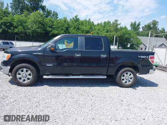 2013 Ford F-150 XL with VIN 1FTFW1ET6DKG21755, listed as a IAAI auction lot 42361049 with 264,756 mi miles and . Bid and sale history available at DreamBid. Image 14.