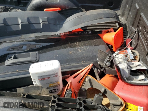 2018 Chevrolet Silverado 1500 LT with VIN 1GCRCREC9JZ183191, listed as a Copart auction lot 53746235 with Not Provided miles and Salvage Title. Bid and sale history available at DreamBid. Image 12.