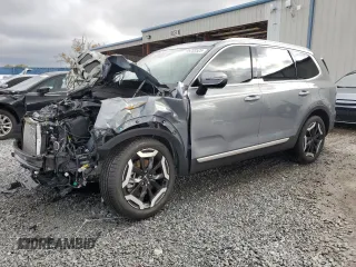 2025 Kia Telluride EX with VIN 5XYP34GC8SG597246, listed as a Copart auction lot 46233525 with 2,220 mi miles and Salvage Title. Bid and sale history available at DreamBid. Image 1.