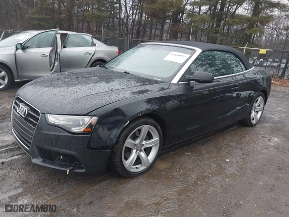 2013 Audi A5 Premium Plus with VIN WAULFAFHXDN009518, listed as a IAAI auction lot 41640973 with 189,687 mi miles. Bid and sale history available at carsss.com. Image 18.
