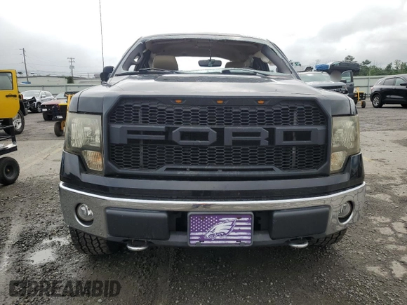 2009 Ford F-150 STX with VIN 1FTRX14819KB81135, listed as a Copart auction lot 61414765 with Not provided miles and Salvage title. Bid and sale history available at DreamBid. Image 5.