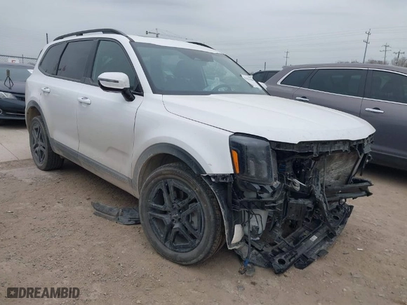 2024 Kia Telluride SX Prestige X-Pro with VIN 5XYP5DGCXRG490882, listed as a IAAI auction lot 41634304 with 30,476 mi miles. Bid and sale history available at carsss.com. Image 1.