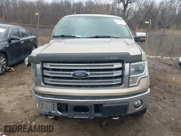 2014 Ford F-150 XL with VIN 1FTFW1EF9EFA91253, listed as a IAAI auction lot 41698300 with 138,663 mi miles. Bid and sale history available at carsss.com. Image 12.