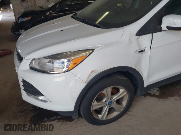 2013 Ford Escape SE with VIN 1FMCU9GX1DUC15356, listed as a IAAI auction lot 42667149 with 170,554 mi miles and . Bid and sale history available at DreamBid. Image 6.