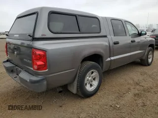 2010 Dodge Dakota SXT with VIN 1D7CW3GP3AS161843, listed as a Copart auction lot 76721334 with 308,931 mi miles and Clean Title. Bid and sale history available at DreamBid. Image 3.