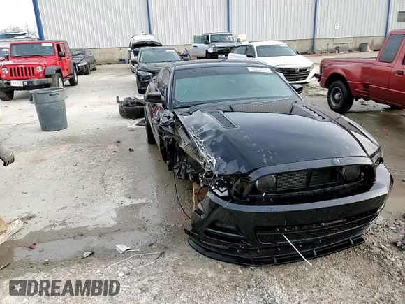 2013 Ford Mustang GT with VIN 1ZVBP8CF8D5284051, listed as a Copart auction lot 49432125 with 33,209 mi miles and Non Repairable. Bid and sale history available at carsss.com. Image 14.