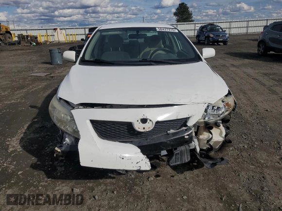 2009 Toyota Corolla with VIN JTDBL40E099080041, listed as a Copart auction lot 50437415 with 130,091 mi miles and Salvage Title. Bid and sale history available at carsss.com. Image 5.