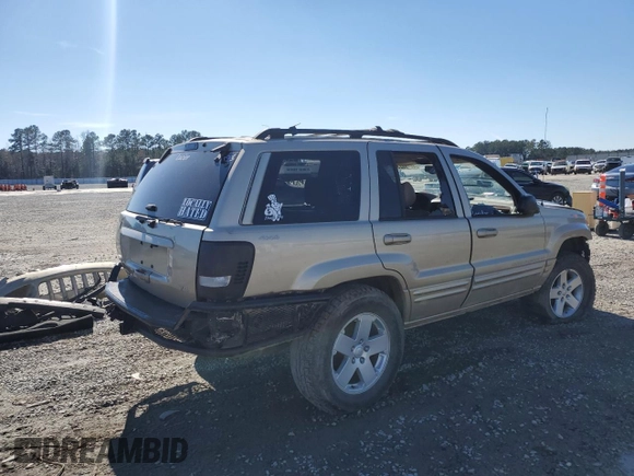 1999 Jeep Grand Cherokee Limited with VIN 1J4GW68N3XC747496, listed as a Copart auction lot 46459235 with 0 mi miles and Salvage Title. Bid and sale history available at carsss.com. Image 3.