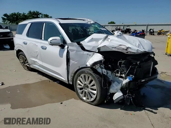 2020 Hyundai Palisade Limited with VIN KM8R5DHE9LU102289, listed as a Copart auction lot 54194415 with 98,282 mi miles and Salvage title. Bid and sale history available at DreamBid. Image 15.