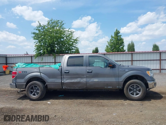 2010 Ford F-150 XL with VIN 1FTFW1EV3AFD14579, listed as a IAAI auction lot 42598587 with 196,758 mi miles and . Bid and sale history available at DreamBid. Image 13.