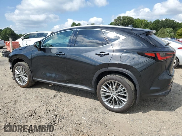 2023 Lexus NX with VIN 2T2GKCEZ7PC010327, listed as a Copart auction lot 66039184 with 21,892 mi miles and Salvage Title. Bid and sale history available at carsss.com. Image 2.
