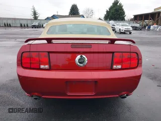2006 Ford Mustang GT Deluxe with VIN 1ZVHT85H265254423, listed as a IAAI auction lot 41482622 with 122,049 mi miles. Bid and sale history available at carsss.com. Image 16.