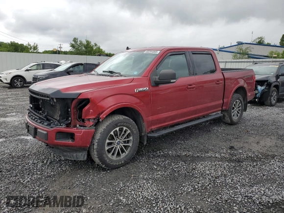 2019 Ford F-150 XL with VIN 1FTEW1E5XKFD24698, listed as a Copart auction lot 60204085 with 145,406 mi miles and Salvage title. Bid and sale history available at DreamBid. Image 1.