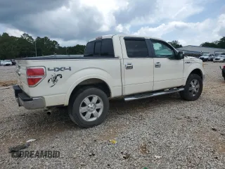 2009 Ford F-150 XL z VIN 1FTPW14V99FA49555, wystawiony jako Copart lot #57954025 z przebiegiem 246 552 mil mil oraz Szkoda całkowita • Salvage title. Historia ofert i sprzedaży dostępna na DreamBid. Obrazek 3.