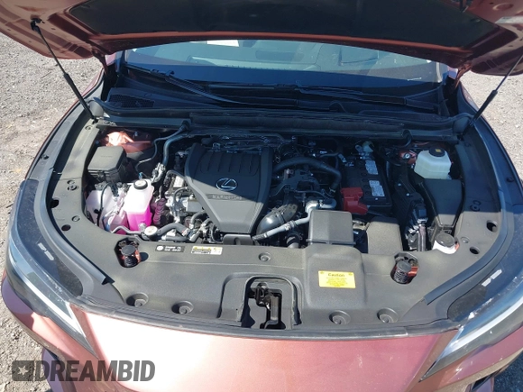 2024 Lexus RX 350 with VIN 2T2BAMCA5RC087894, listed as a IAAI auction lot 42022935 with 3,484 mi miles and . Bid and sale history available at DreamBid. Image 10.