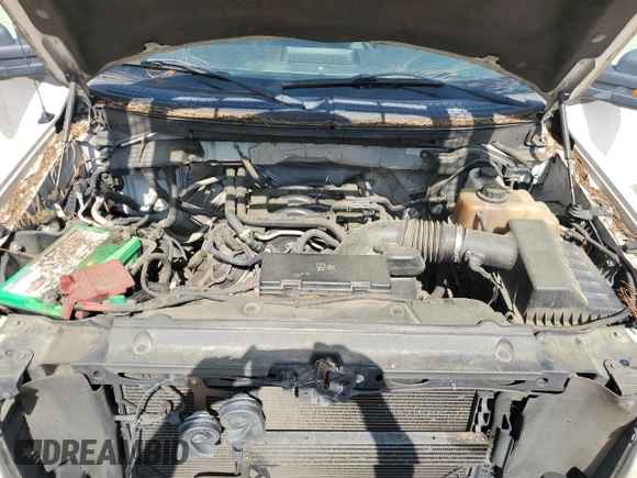 2011 Ford F-150 XL with VIN 1FTFW1EF7BFC37502, listed as a Copart auction lot 64830405 with 300,481 mi miles and Clean title. Bid and sale history available at DreamBid. Image 11.