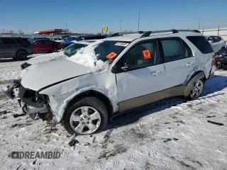 2007 Ford Freestyle SEL with VIN 1FMDK02167GA19506, listed as a Copart auction lot 46190835 with 44,333 mi miles and Salvage Title. Bid and sale history available at carsss.com. Image 1.