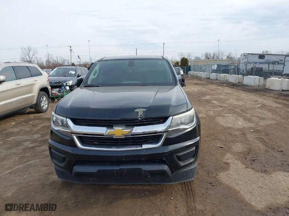 2016 Chevrolet Colorado 2WD WT with VIN 1GCGSBEA2G1225255, listed as a IAAI auction lot 41694399 with 171,754 mi miles. Bid and sale history available at carsss.com. Image 12.