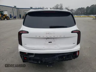 2024 Kia Telluride SX X-Pro with VIN 5XYP5DGC4RG544175, listed as a Copart auction lot 48980245 with 14,624 mi miles and Salvage title. Bid and sale history available at DreamBid. Image 6.