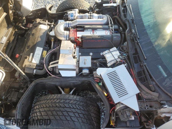 1996 Chevrolet Corvette with VIN 1G1YY2252T5114033, listed as a Copart auction lot 80064714 with Not provided miles and Salvage title. Bid and sale history available at DreamBid. Image 11.