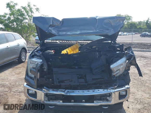 2017 Ford F-150 XL with VIN 1FTEW1EFXHFB61973, listed as a IAAI auction lot 42212263 with 109,220 mi miles and . Bid and sale history available at DreamBid. Image 12.