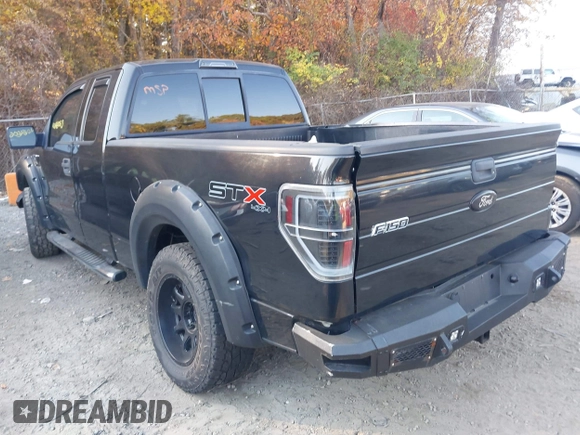 2010 Ford F-150 XL z VIN 1FTEX1EW3AFB48534, wystawiony jako IAAI lot #40646062 z przebiegiem 138 625 mil mil oraz . Historia ofert i sprzedaży dostępna na DreamBid. Obrazek 3.