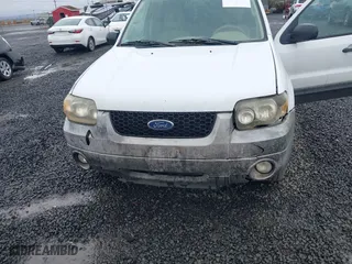 2007 Ford Escape XLT with VIN 1FMYU93147KA19886, listed as a IAAI auction lot 41830517 with 176,099 mi miles. Bid and sale history available at carsss.com. Image 6.