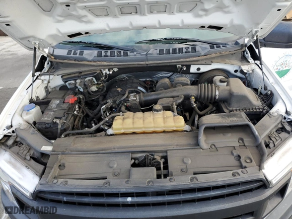 2019 Ford F-150 XL with VIN 1FTMF1CB8KKE15514, listed as a Copart auction lot 50569195 with 40,484 mi miles and Salvage Title. Bid and sale history available at carsss.com. Image 11.