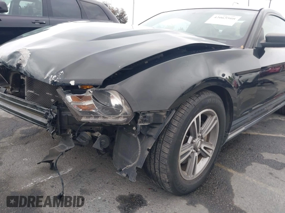 2011 Ford Mustang V6 with VIN 1ZVBP8AM9B5103778, listed as a IAAI auction lot 42065508 with 108,422 mi miles and . Bid and sale history available at DreamBid. Image 19.