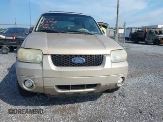 2007 Ford Escape Limited with VIN 1FMCU94187KB59285, listed as a IAAI auction lot 42773968 with 161,709 mi miles and . Bid and sale history available at DreamBid. Image 6.