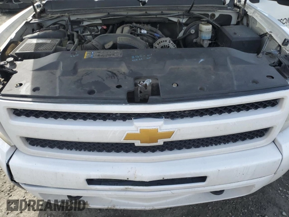 2009 Chevrolet Silverado 1500 1LT with VIN 1GCEK140X9Z129260, listed as a Copart auction lot 52605715 with 283,906 mi miles and Salvage Title. Bid and sale history available at DreamBid. Image 11.
