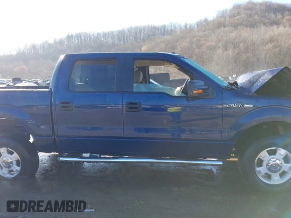 2009 Ford F-150 XL z VIN 1FTPW14V89FA15008, wystawiony jako IAAI lot #41785304 z przebiegiem 146 117 mil mil oraz . Historia ofert i sprzedaży dostępna na DreamBid. Obrazek 14.