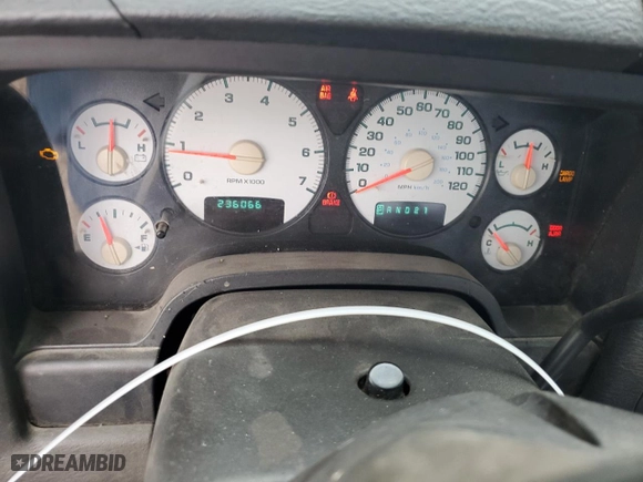 2003 Dodge Ram 1500 ST with VIN 1D7HA16N33J681087, listed as a Copart auction lot 46911005 with 236,066 mi miles and Salvage Title. Bid and sale history available at carsss.com. Image 9.