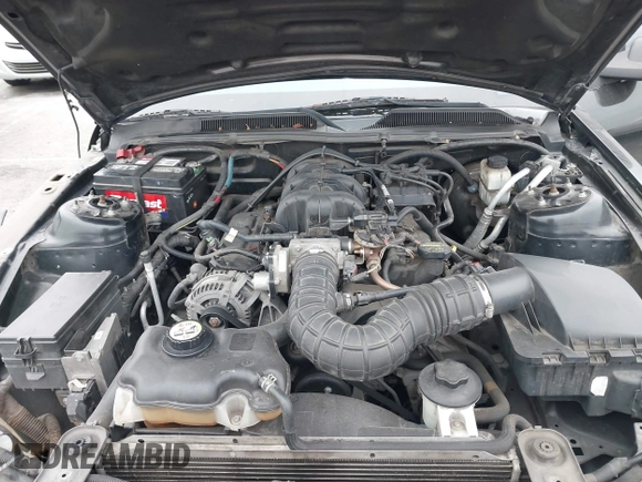 2009 Ford Mustang with VIN 1ZVHT80N495139131, listed as a IAAI auction lot 42019441 with 195,952 mi miles and . Bid and sale history available at carsss.com. Image 10.