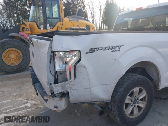 2017 Ford F-150 XL with VIN 1FTEX1EP1HKC49713, listed as a IAAI auction lot 41231172 with 250,679 mi miles. Bid and sale history available at carsss.com. Image 6.