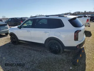 2024 Kia Telluride SX X-Line with VIN 5XYP5DGC1RG528869, listed as a Copart auction lot 46706075 with 13,779 mi miles and Salvage Title. Bid and sale history available at carsss.com. Image 2.