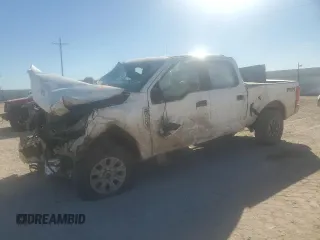 2022 Ford Super Duty F-250 SRW XL with VIN 1FT7W2B65NEF55546, listed as a Copart auction lot 43663015 with 0 mi miles and Salvage Title. Bid and sale history available at carsss.com. Image 1.