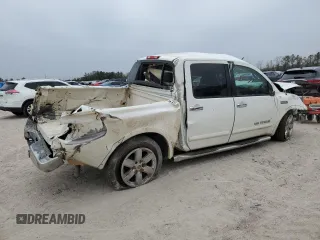 2010 Nissan Titan SE with VIN 1N6BA0ED6AN312861, listed as a Copart auction lot 88127865 with 166,205 mi miles and Salvage Title. Bid and sale history available at carsss.com. Image 3.