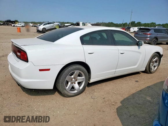 2014 Dodge Charger Police with VIN 2C3CDXAT8EH198935, listed as a Copart auction lot 58036585 with 173,702 mi miles and Clean title. Bid and sale history available at DreamBid. Image 3.