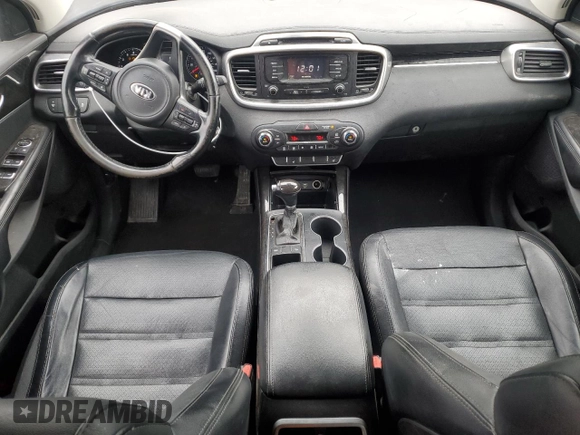 2016 Kia Sorento EX with VIN 5XYPH4A59GG049811, listed as a Copart auction lot 48204195 with 224,217 mi miles and Clean title. Bid and sale history available at DreamBid. Image 8.