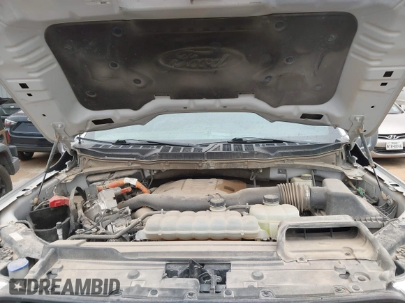 2021 Ford F-150 XL с VIN 1FTFW1ED4MFB26911, выставлен на аукционе IAAI как лот 42458513 с пробегом 67 259 миль миль и . История ставок и продаж доступна на DreamBid. Изображение 10.