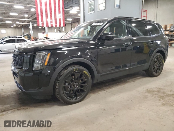 2022 Kia Telluride SX with VIN 5XYP5DHC1NG282155, listed as a Copart auction lot 53046715 with 43,921 mi miles and Salvage title. Bid and sale history available at DreamBid. Image 1.